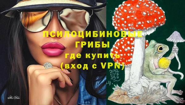 амфетамин Белокуриха
