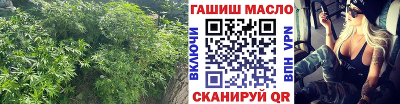 ТГК концентрат  купить наркотики сайты  Сковородино 