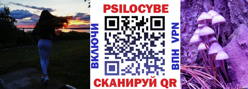 Галлюциногенные грибы Magic Shrooms  Сковородино 
